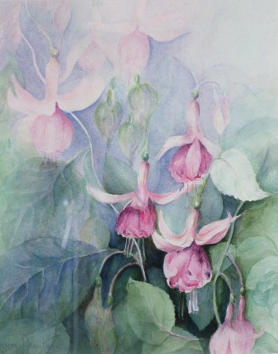 Fuchsia, cocher rose - Karen Armitage