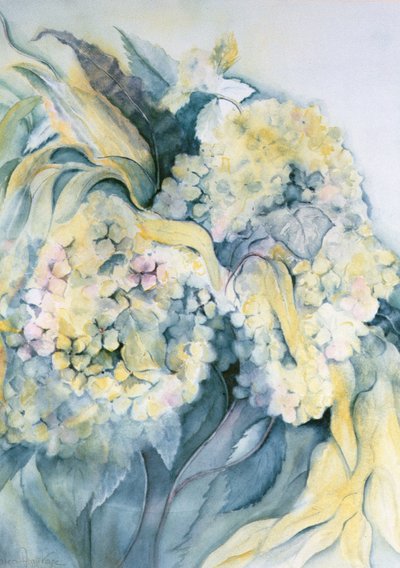 Hortensia Particulata - Karen Armitage