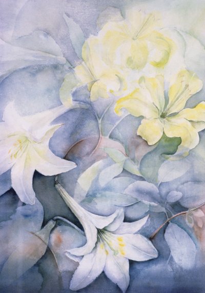 Lilium, Hearts Desire et Imperiale - Karen Armitage