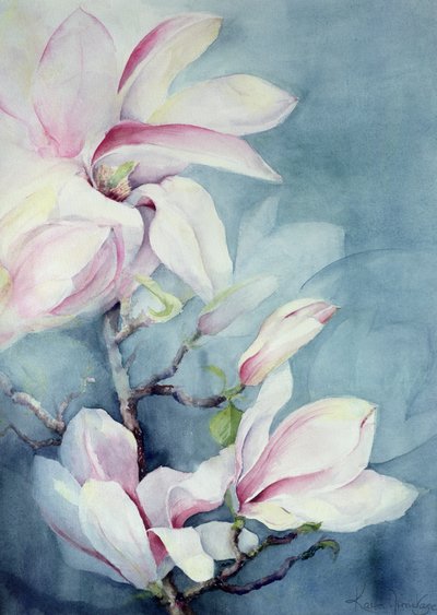 Magnolia Soulangeana (vertical) - Karen Armitage