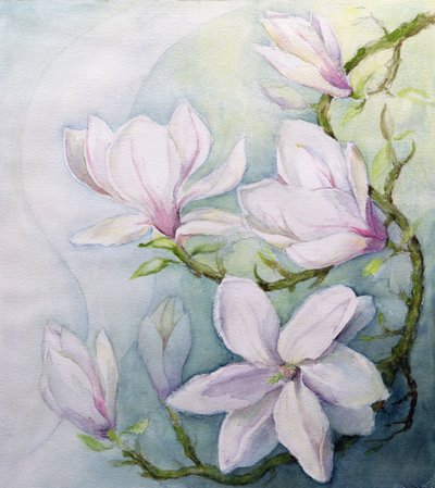 Magnolias - Karen Armitage