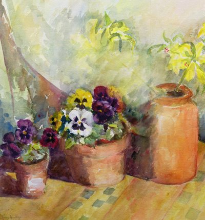 Pensées et pots en terre cuite - Karen Armitage