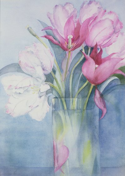 Tulipes perroquet roses et Marlette - Karen Armitage