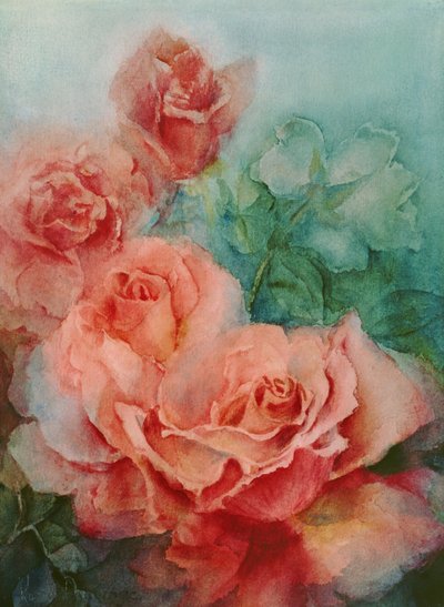 Roses roses, Prima Ballerina - Karen Armitage