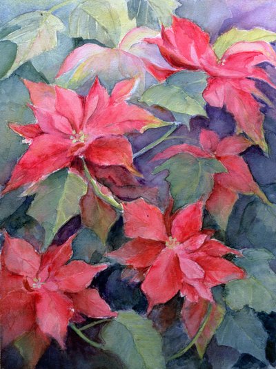 Poinsettia - Karen Armitage