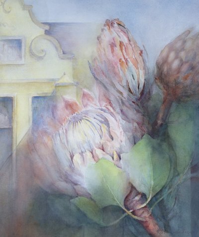 Protea à Stellenbosch - Karen Armitage