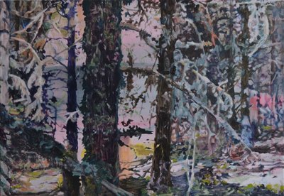 La lumière de la forêt enchantée - Karin Bos