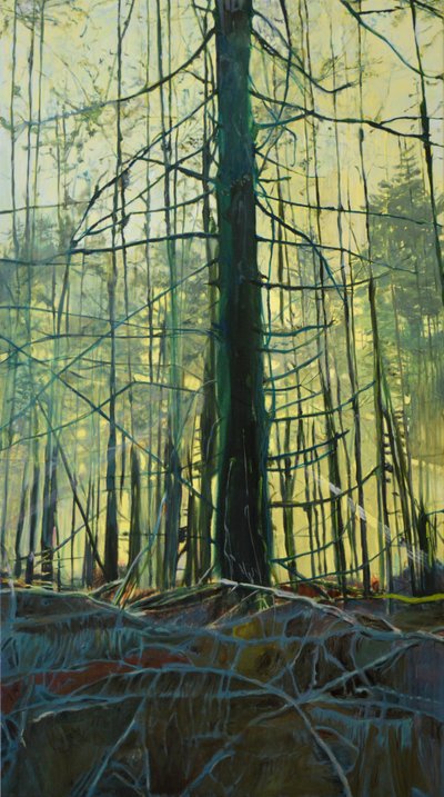 Lumière de la forêt éthérée - Karin Bos