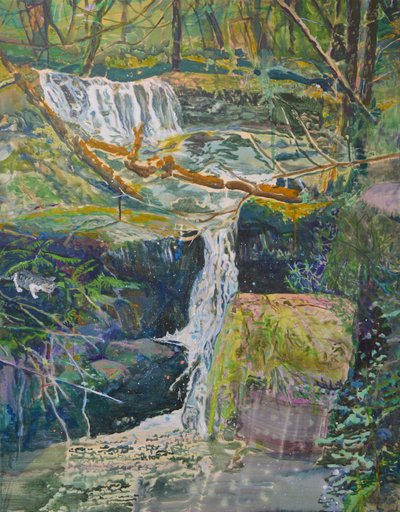 Une cascade dans la forêt avec un chat - Karin Bos