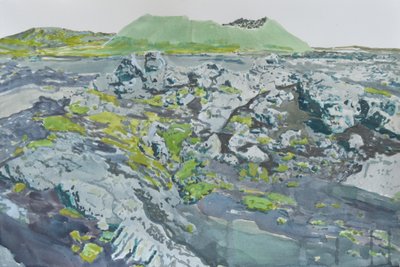 Paysage volcanique moussu - Karin Bos