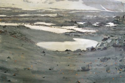 Paysage de la toundra austère - Karin Bos