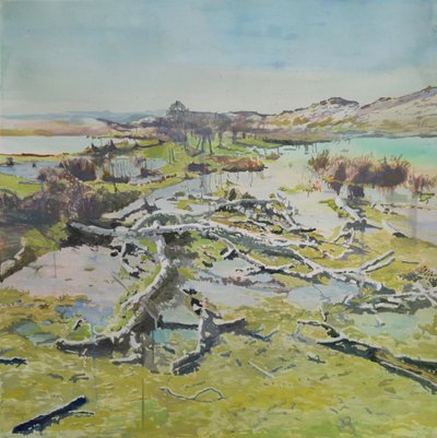 Reflets sur le bois flotté des zones humides - Karin Bos