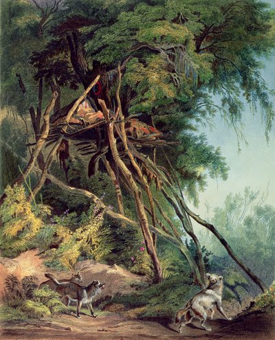 Tombes des Indiens Assiniboin sur des arbres, planche 30 du volume 2 de 