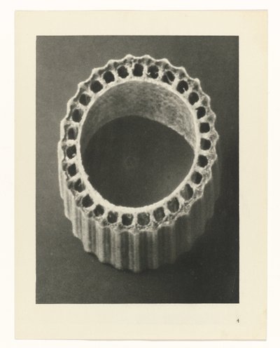 Études de plantes (Urformen der Kunst : photographische Pflanzenbilder) - Karl Blossfeldt