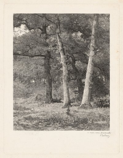 Une clairière en forêt - Karl Bodmer