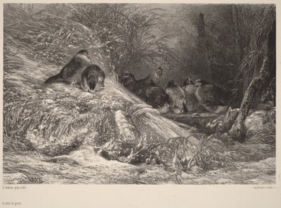  - Karl Bodmer