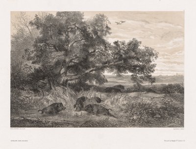 Animaux et Paysage d