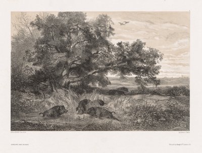 Animaux et paysage d