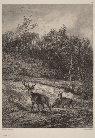 - Karl Bodmer