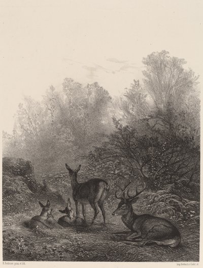 Biches au repos - Karl Bodmer