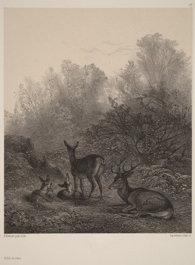 Biches au repos - Karl Bodmer