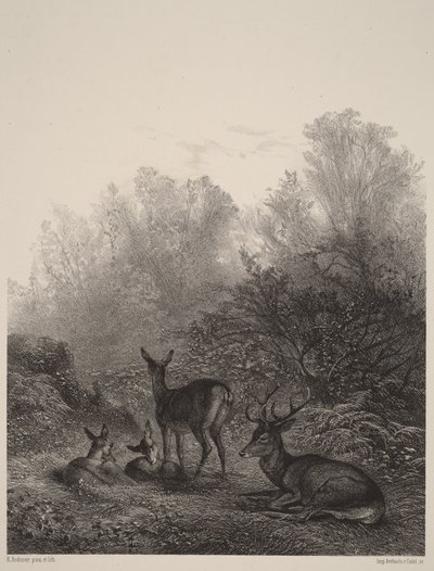  - Karl Bodmer