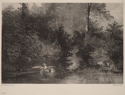  - Karl Bodmer