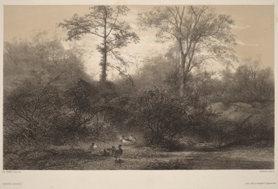  - Karl Bodmer