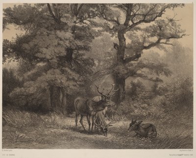  - Karl Bodmer