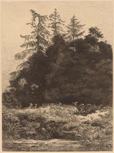 Daims dans un parc - Karl Bodmer
