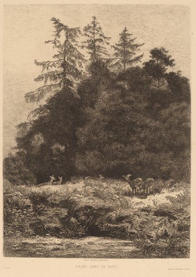 Daims dans un parc - Karl Bodmer