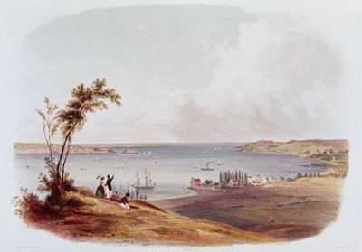 Entrée dans la baie de New York, Staten Island, gravé par Salathe (lithographie en couleur) - Karl Bodmer