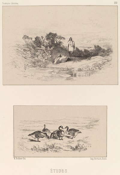 Études - Karl Bodmer