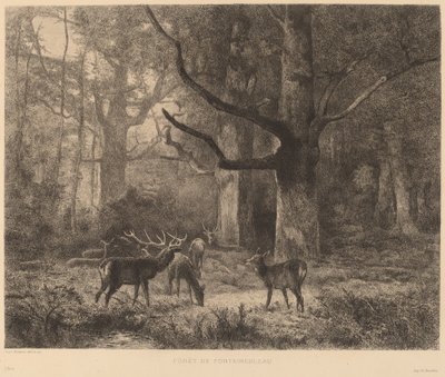 Forêt de Fontainebleau - Karl Bodmer
