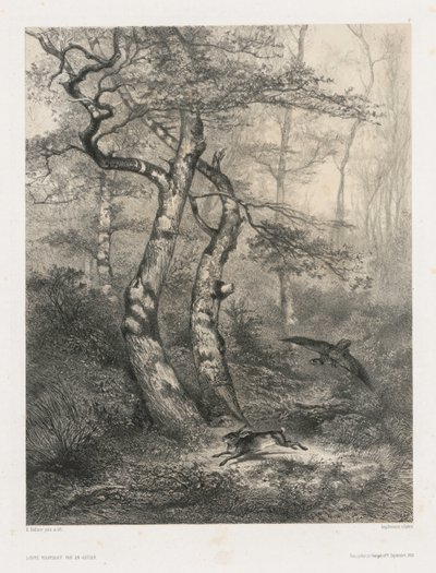 Lièvre poursuivi par un autour - Karl Bodmer