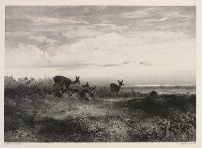 Paysage avec des cerfs, vers 1840 - Karl Bodmer