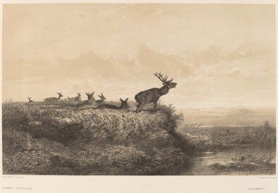 Le Matin - Karl Bodmer