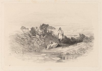 Les Deux Hérons - Karl Bodmer