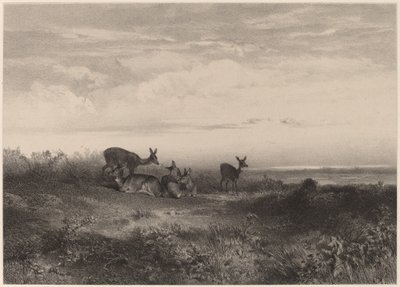 Les biches - Karl Bodmer