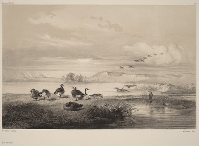  - Karl Bodmer