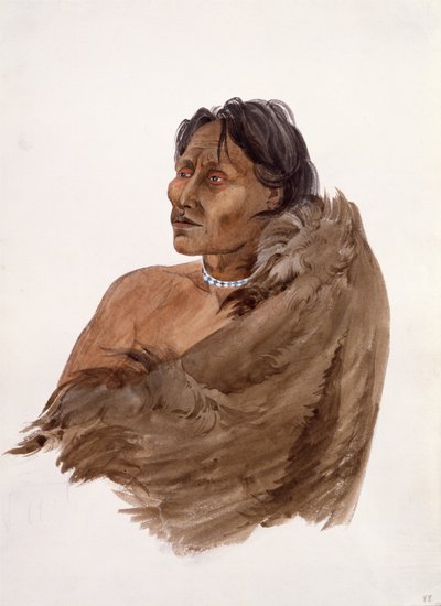  - Karl Bodmer