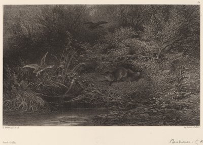 Renard à l