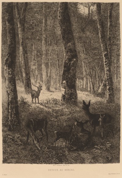 Retour au bercail - Karl Bodmer