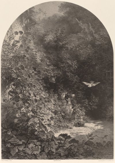 Un coin de jardin - Karl Bodmer