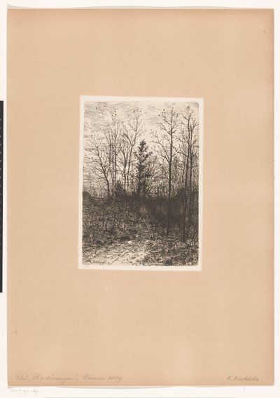 Paysage forestier - Karl Buchholz