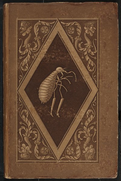 Meister Floh. Ein Märchen in sieben Abenteuern zweier Freunde - Karl Friedrich Thiele, Ernst Theodor Amadeus Hoffmann
