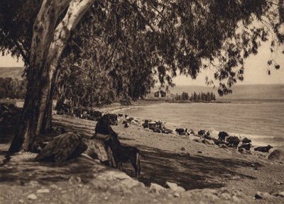 Lac Gennezar, lieu où les Cinq Mille ont été nourris - Karl Grober