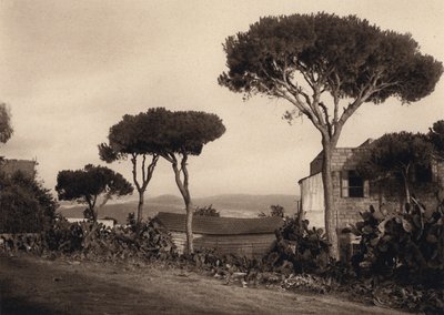 Liban, paysage - Karl Grober