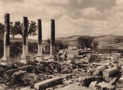Samarie, ruines du palais d