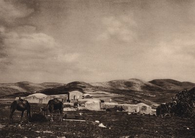 Samarie, vue des ruines du palais d
